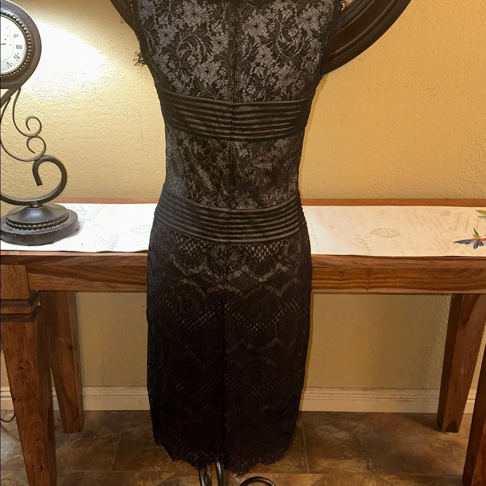 Tadashi Shoji Eyelash Lace Dress - Picture 7 of 9